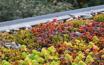 the cost of Common green roof installation