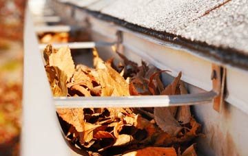 Common gutter cleaning companies