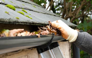 gutter cleaning Common
