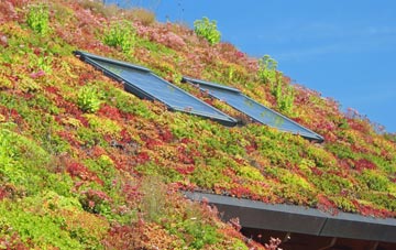 Common living roof systems