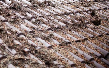 Common roof cleaning companies