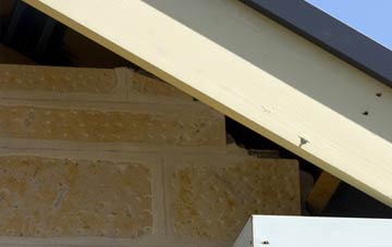 soffit repair Common