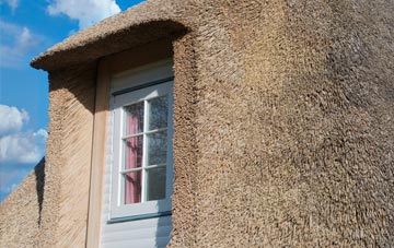 Common thatch roof disadvantages