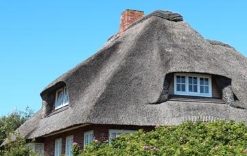 thatch roofing Common