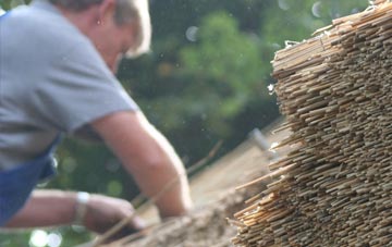 professional Common thatchers