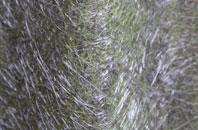 Common fibreglass roof work